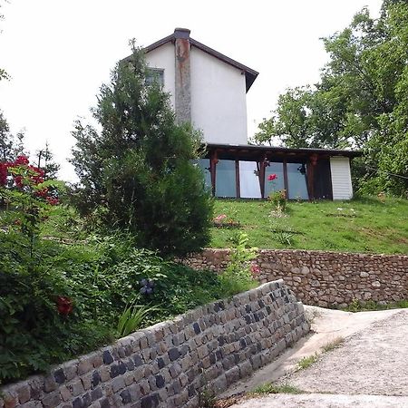 Villa Casa Piscul Lupului à Pucioasa Extérieur photo