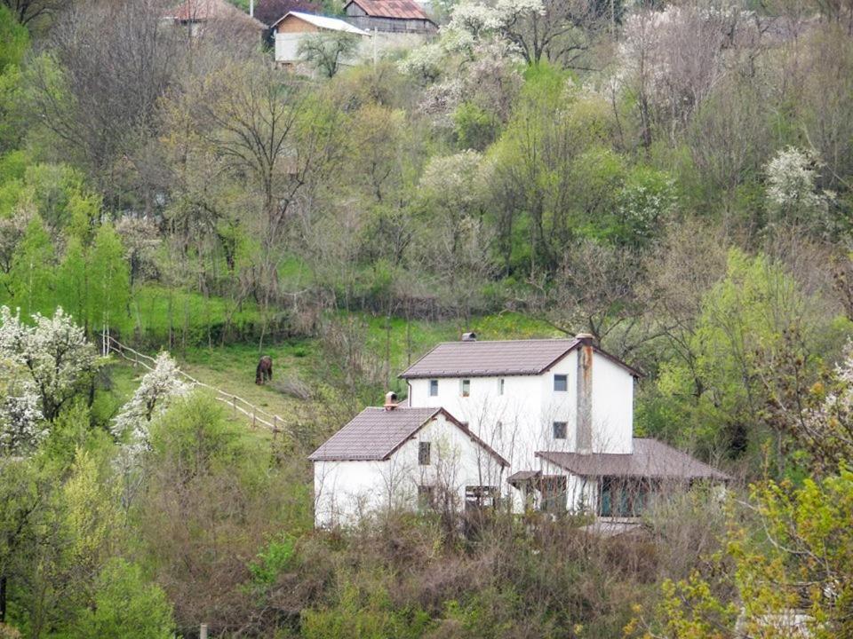 Villa Casa Piscul Lupului à Pucioasa Extérieur photo