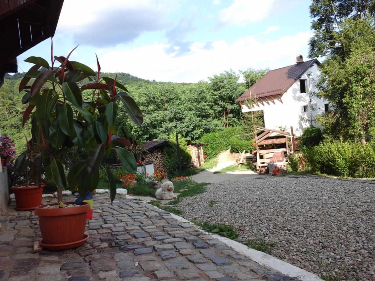 Villa Casa Piscul Lupului à Pucioasa Extérieur photo