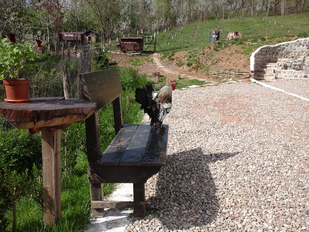 Villa Casa Piscul Lupului à Pucioasa Extérieur photo