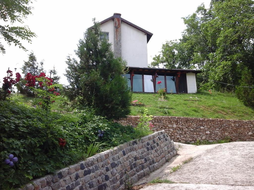 Villa Casa Piscul Lupului à Pucioasa Extérieur photo