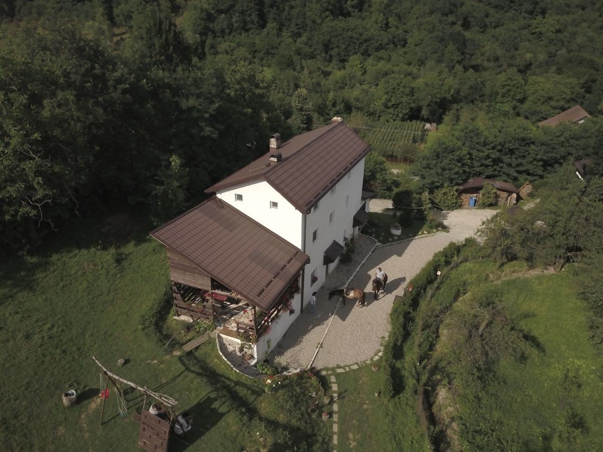 Villa Casa Piscul Lupului à Pucioasa Extérieur photo